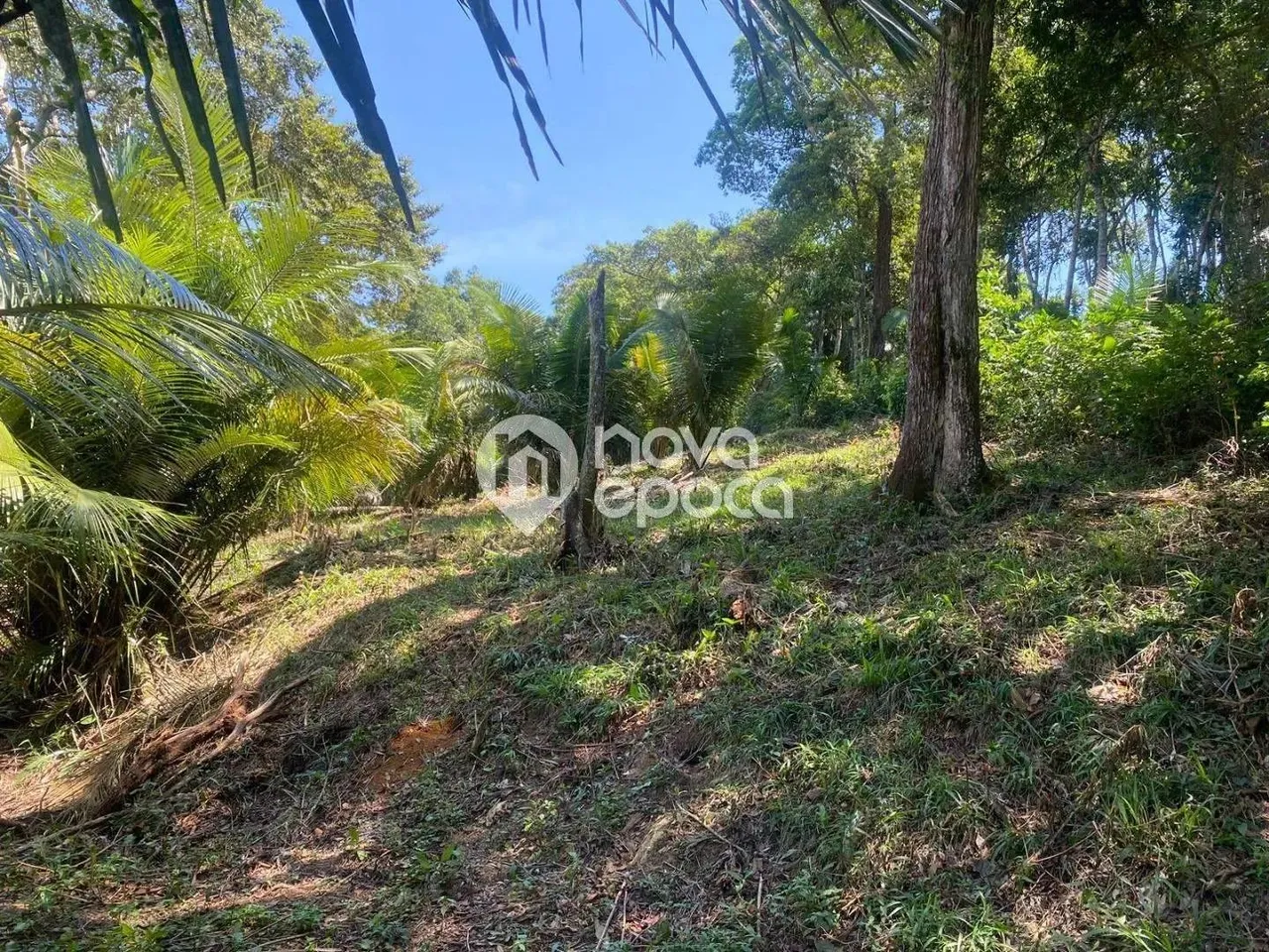 Várzea das Moças | Terreno