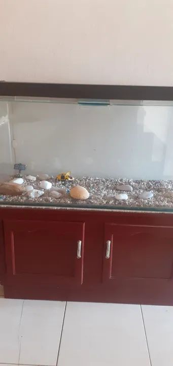 Aquário com Iluminação