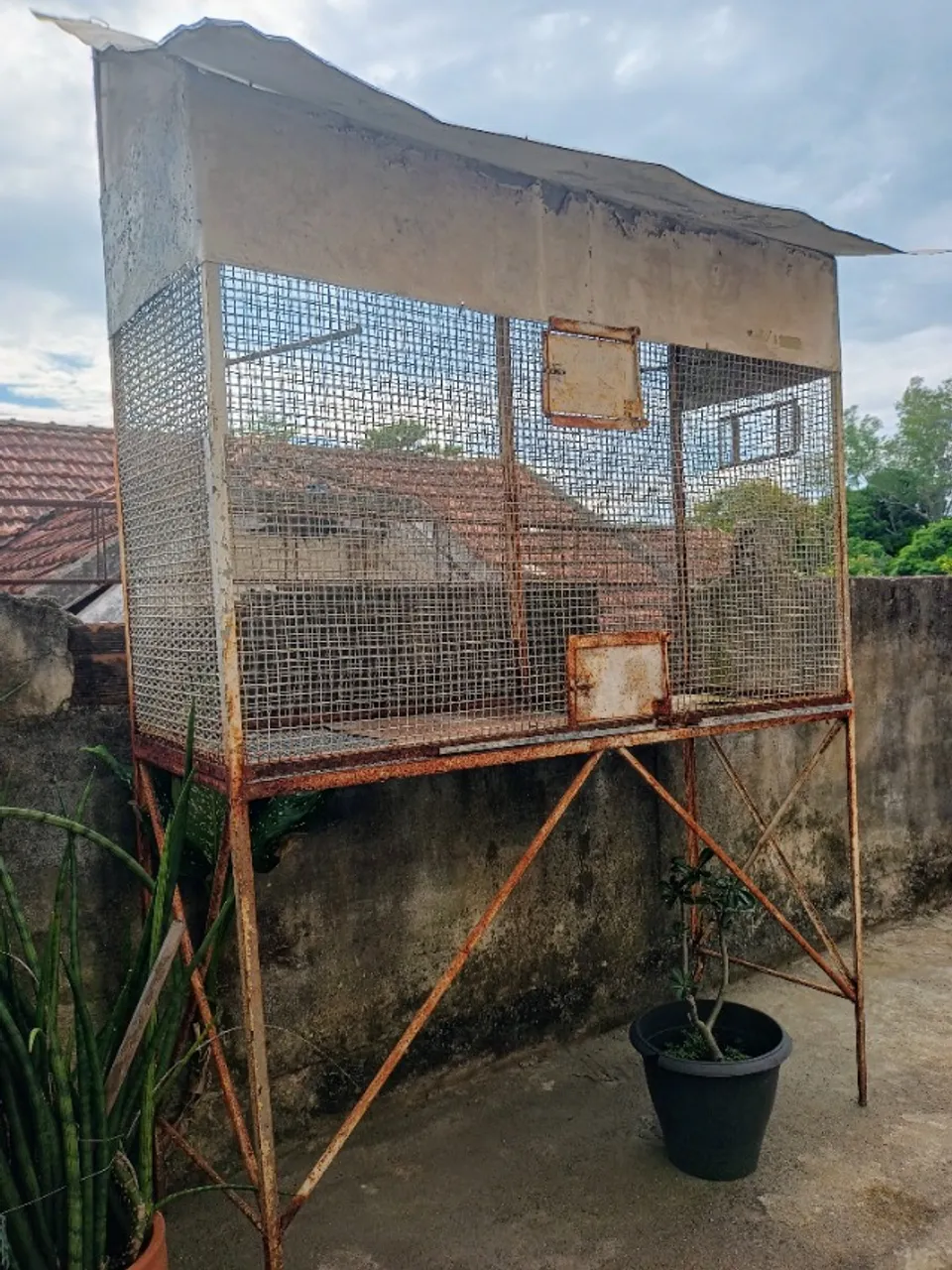 VENDO VIVEIRO