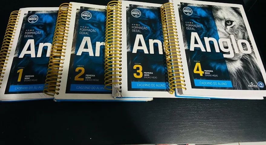LIVROS SISTEMA ANGLO 1 ANO ENSINO MÉDIO - Foto 2