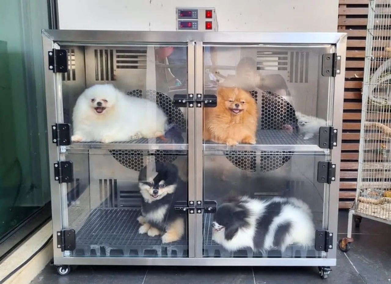 Secadora Pet 4 lugares 2 Turbinas independentes Inox