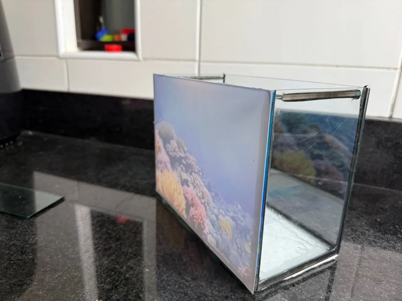 Aquário completo 6L para Peixes - Foto 4