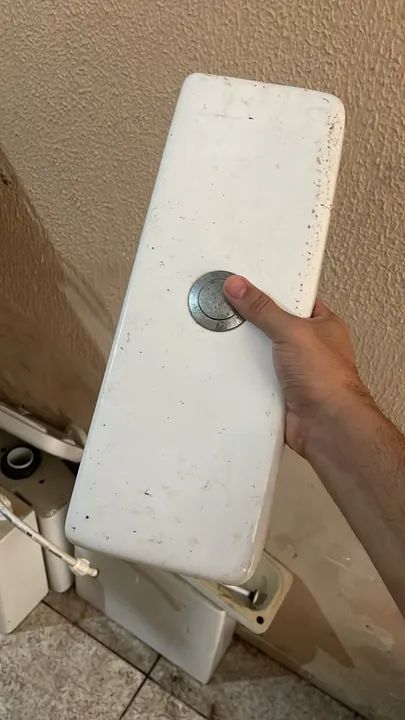 Vaso Sanitário completo com Botão de Acionamento