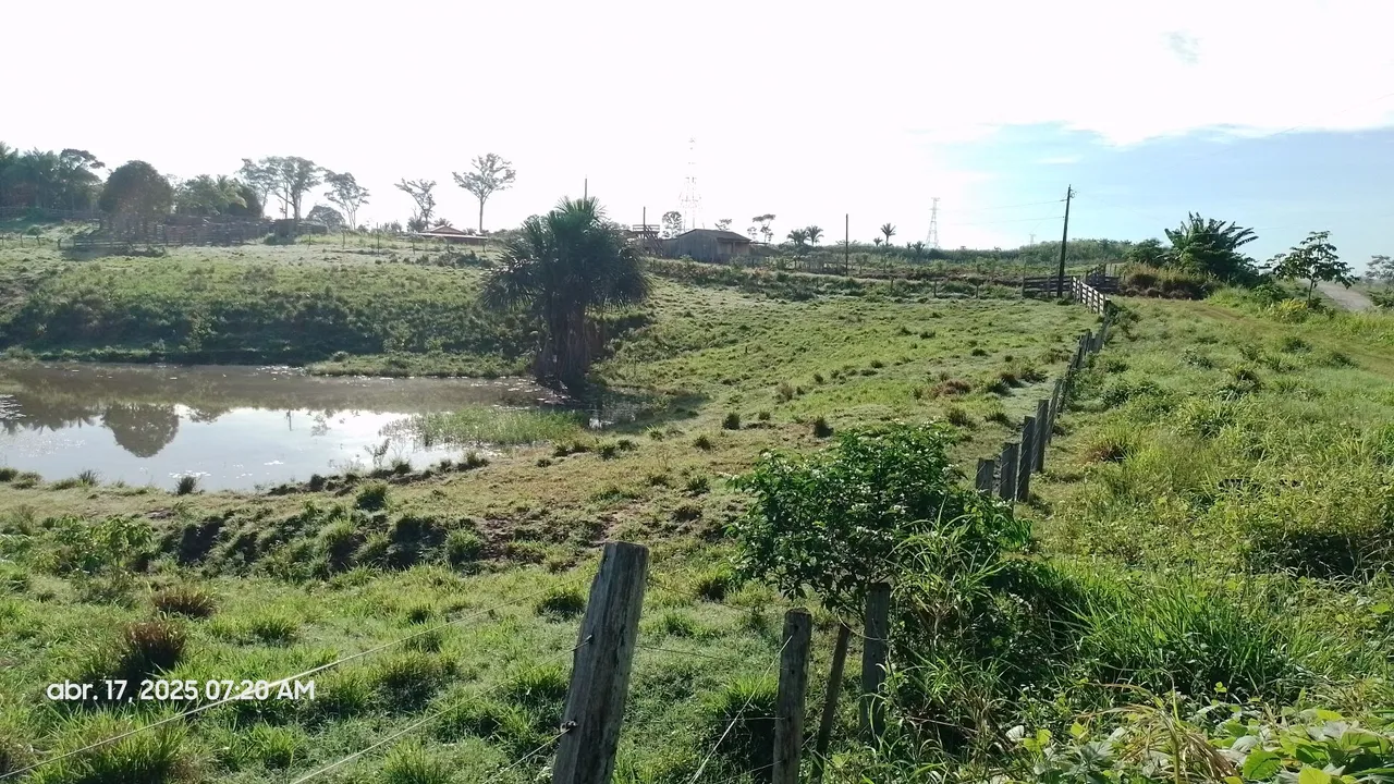 Vendo terra
