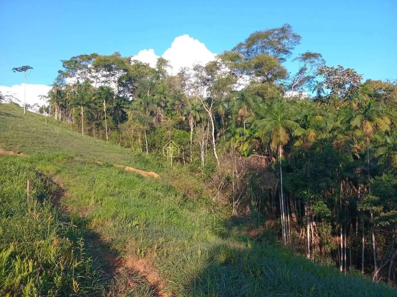 Terrenos de 1000m² à venda, Capelinha, Resende, RJ - Foto 2
