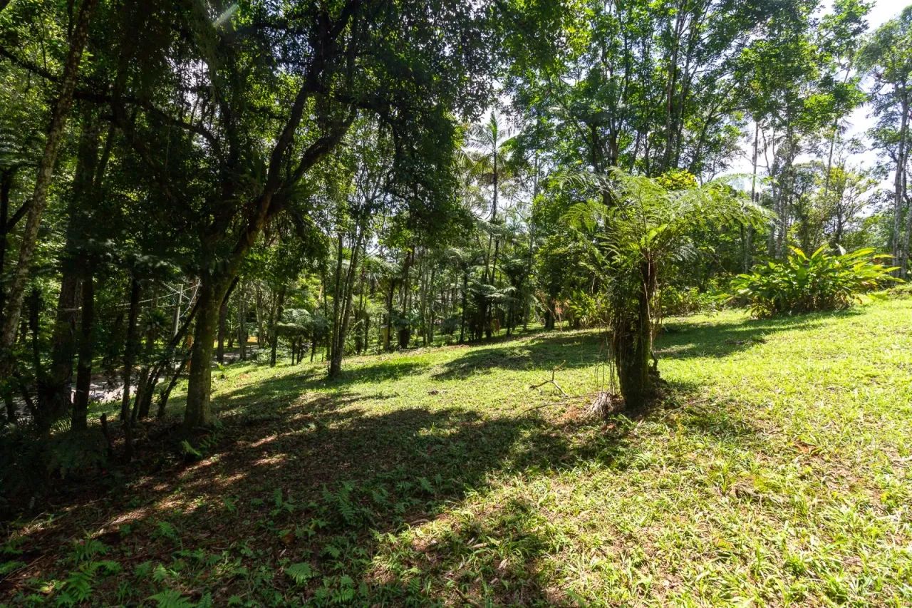 Casa de condomínio para venda tem 2900 metros quadrados - Foto 2