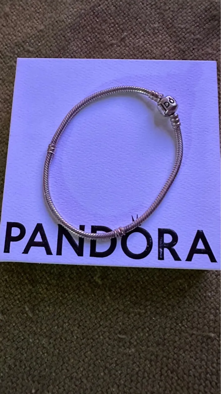 Bracelete Pandora Moments tamanho 21