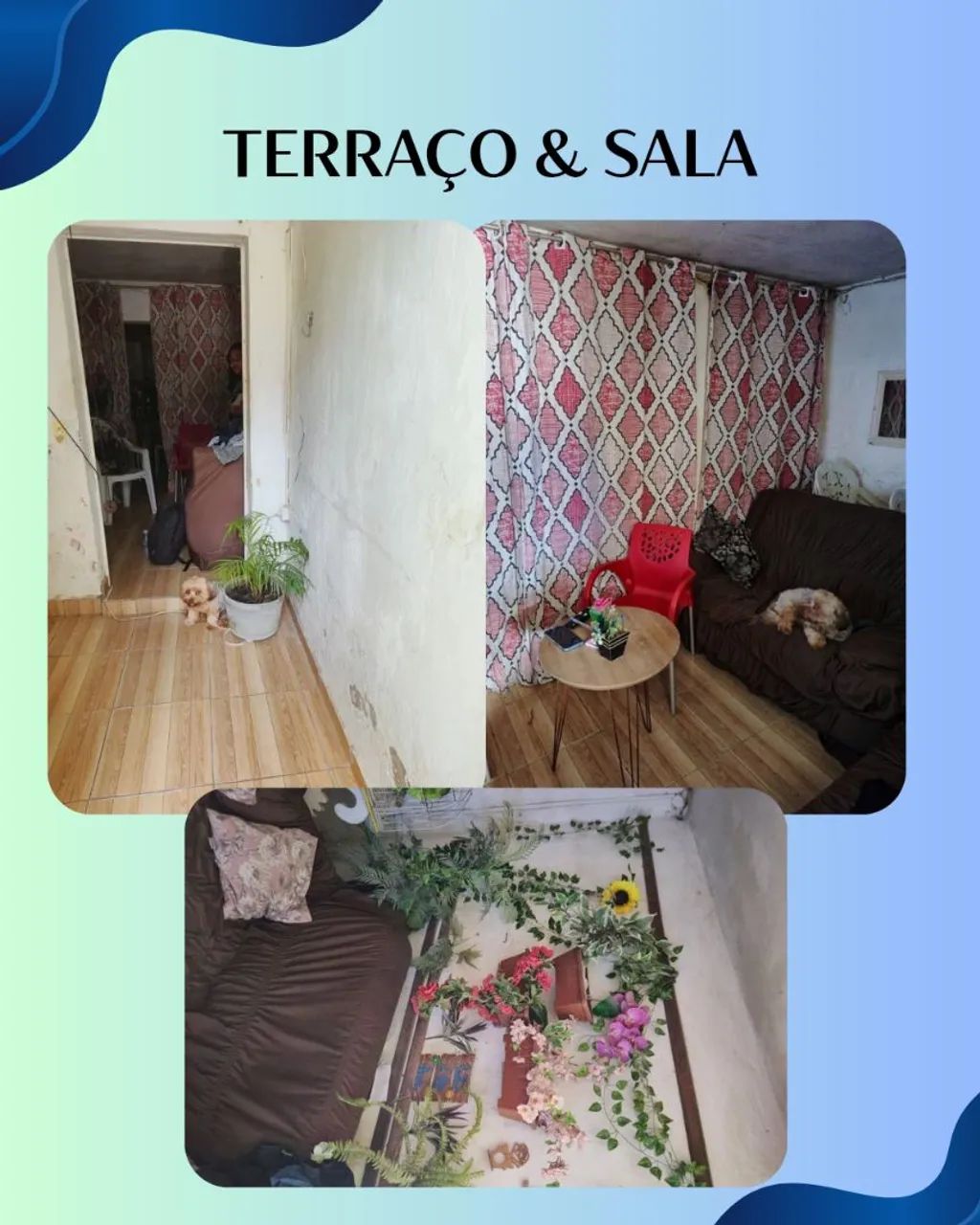 Foto - Olinda - Peixinhos