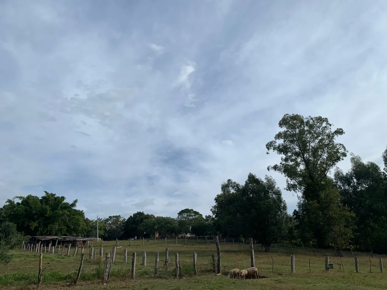 Sítio para venda em Gravataí / RS