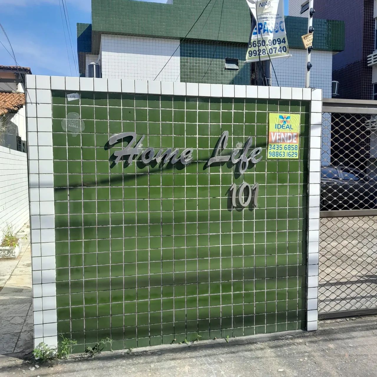 Foto - Paulista - Janga