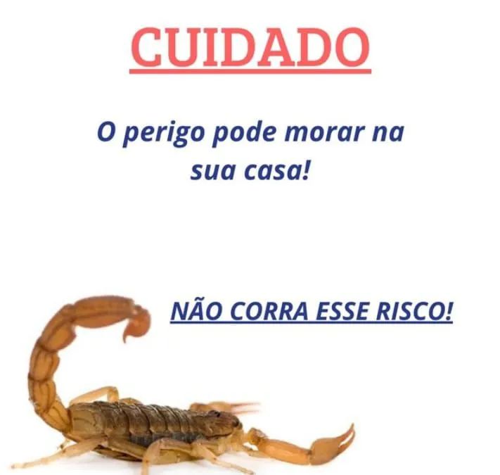 DEDETIZAÇÃO EM APARTAMENTO E CASA. - Foto 3