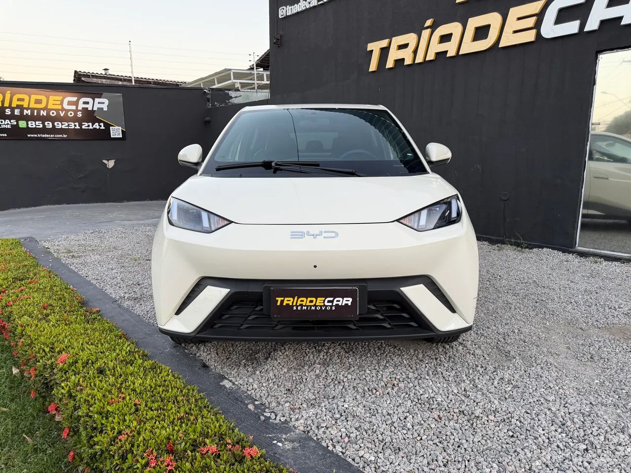 BYD Dolphin Mini (Elétrico) 2027 - Foto 3