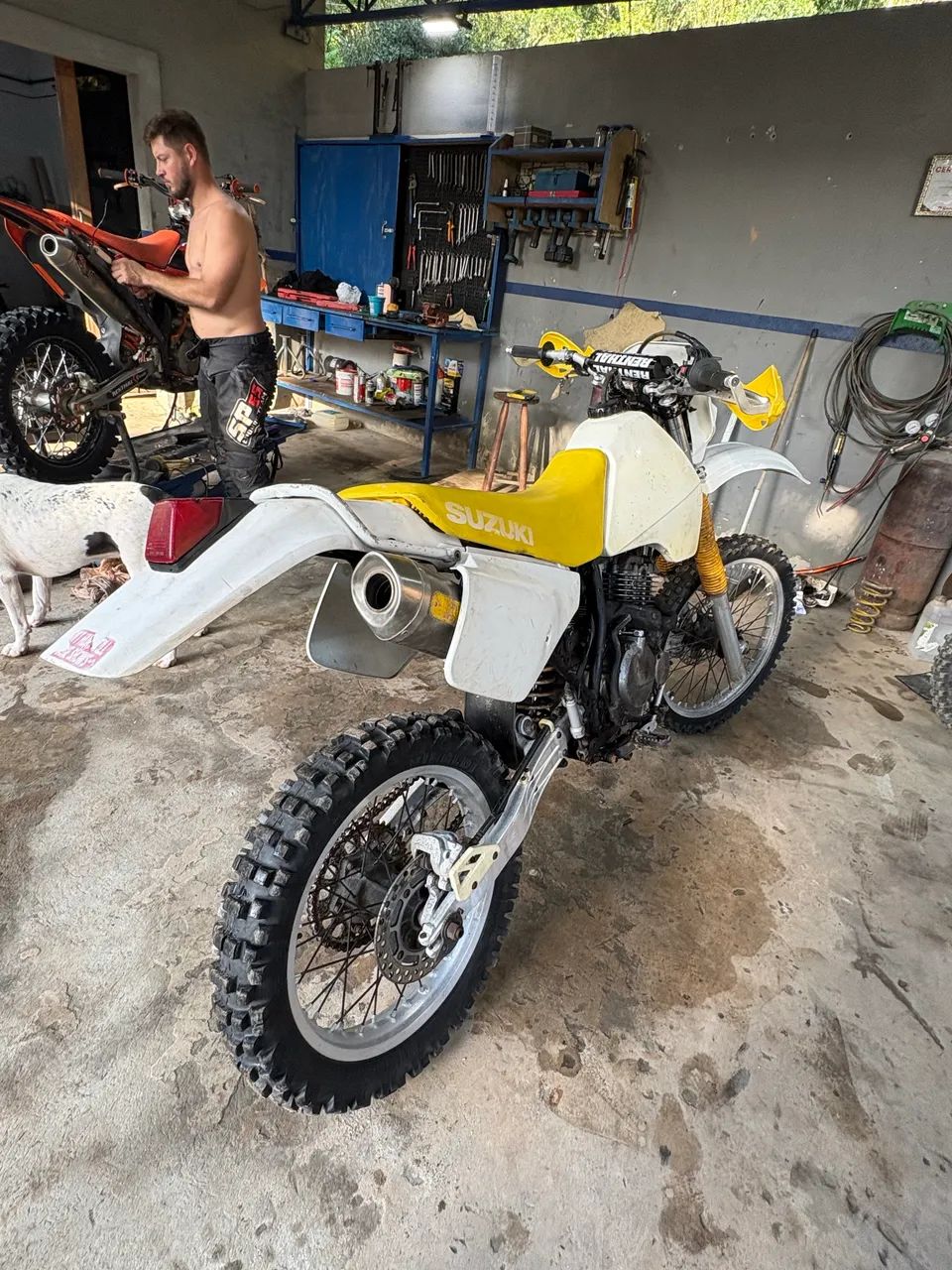 Dr 350 - Foto 2