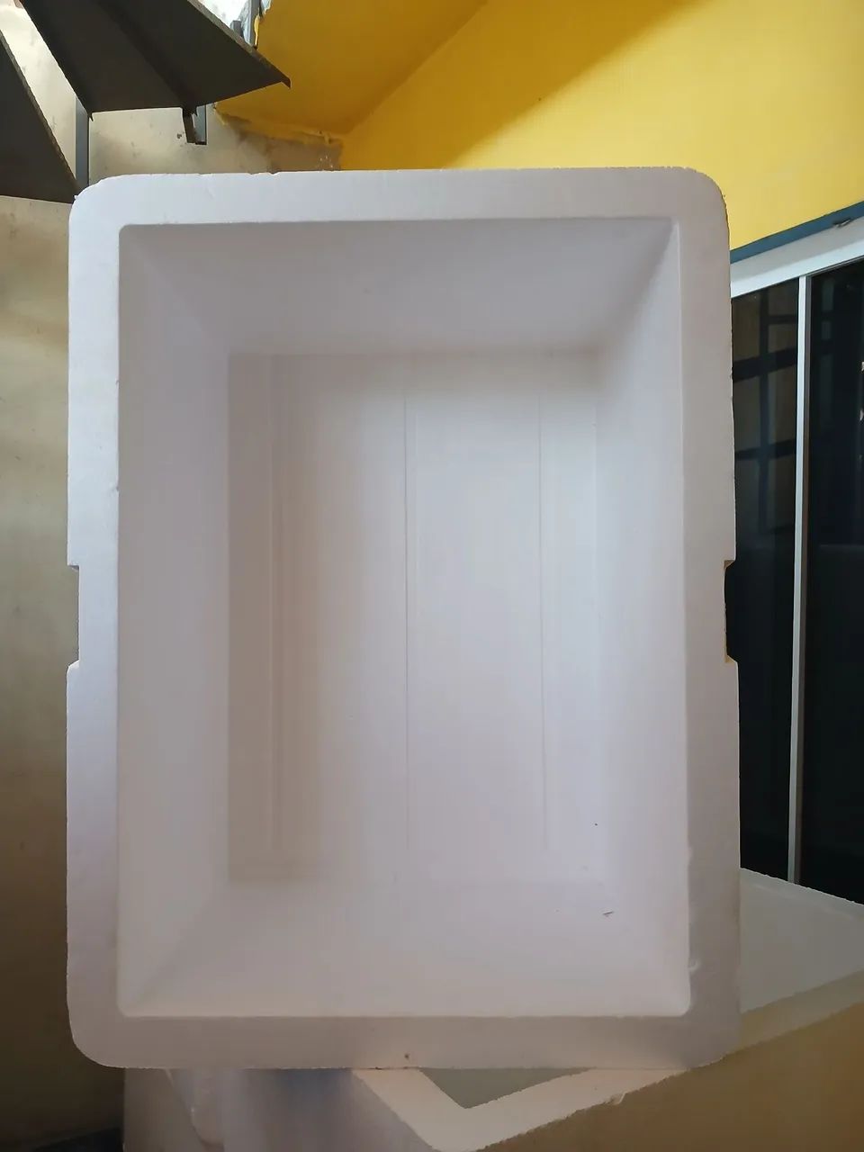 Caixa de isopor 