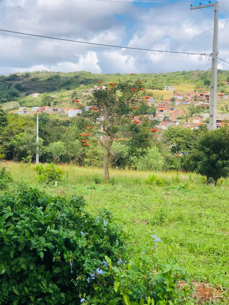 Terrenos em Triunfo-PE - Foto 3