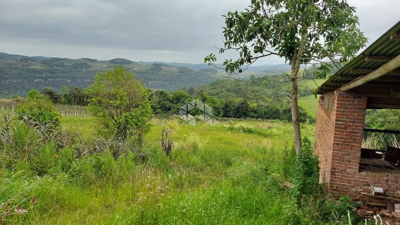 Terra no interior de Monte Belo do Sul - Foto 3
