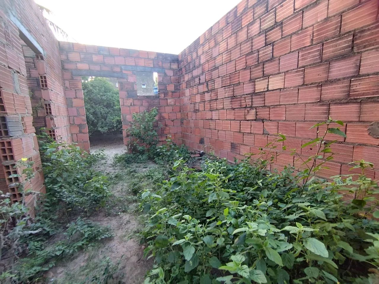 Casa quase no ponto do madeiramento - Foto 4