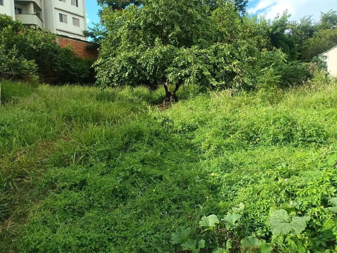 Terreno à venda em Piracicaba, Vila Independência - Foto 3