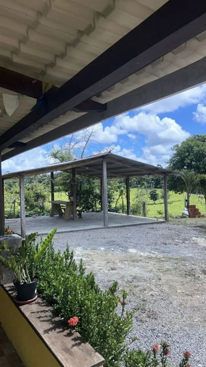 FAZENDA PRODUTIVA À VENDA - Foto 2