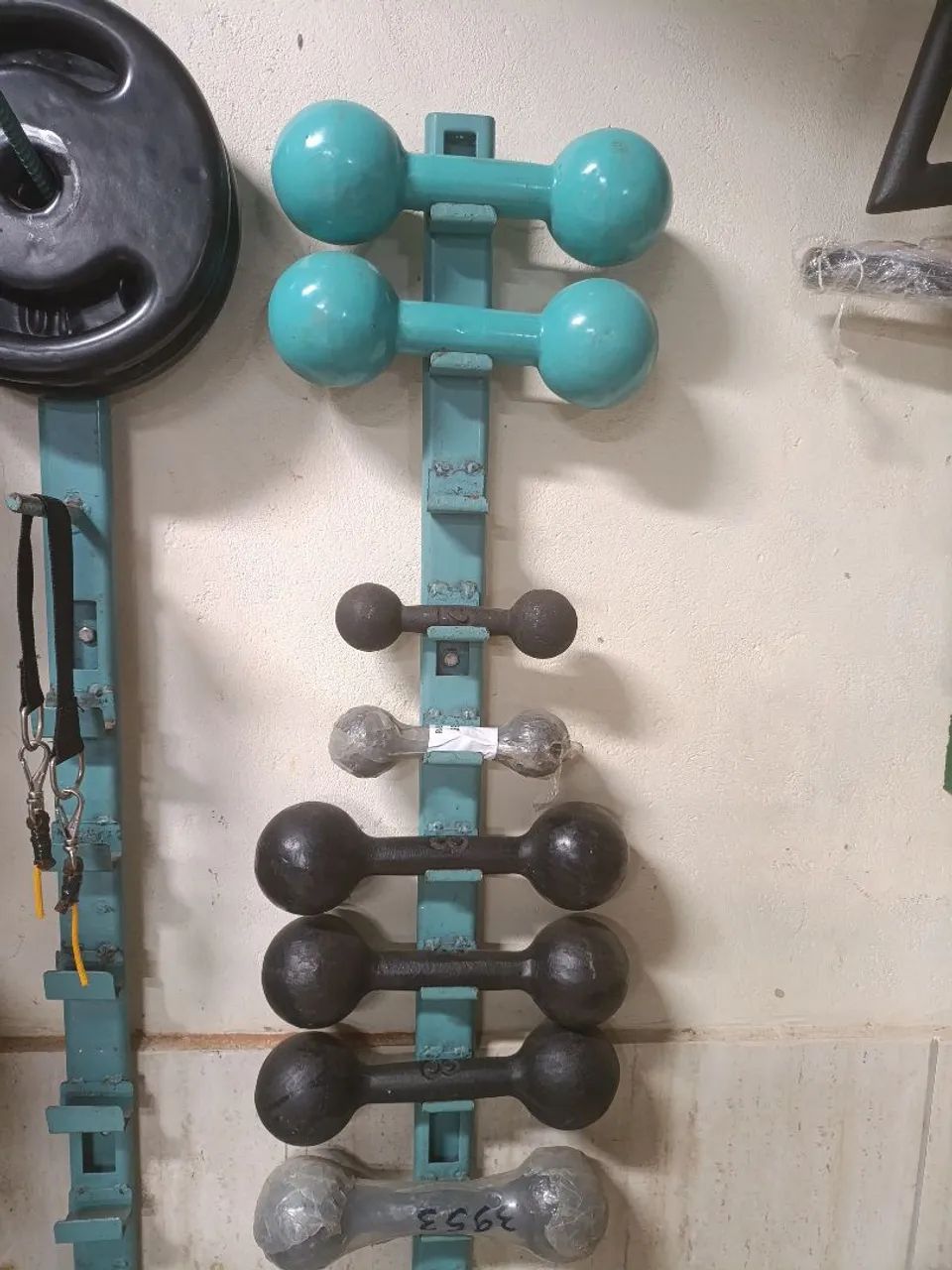 Halter bola pintado e emborrachado  - Foto 2