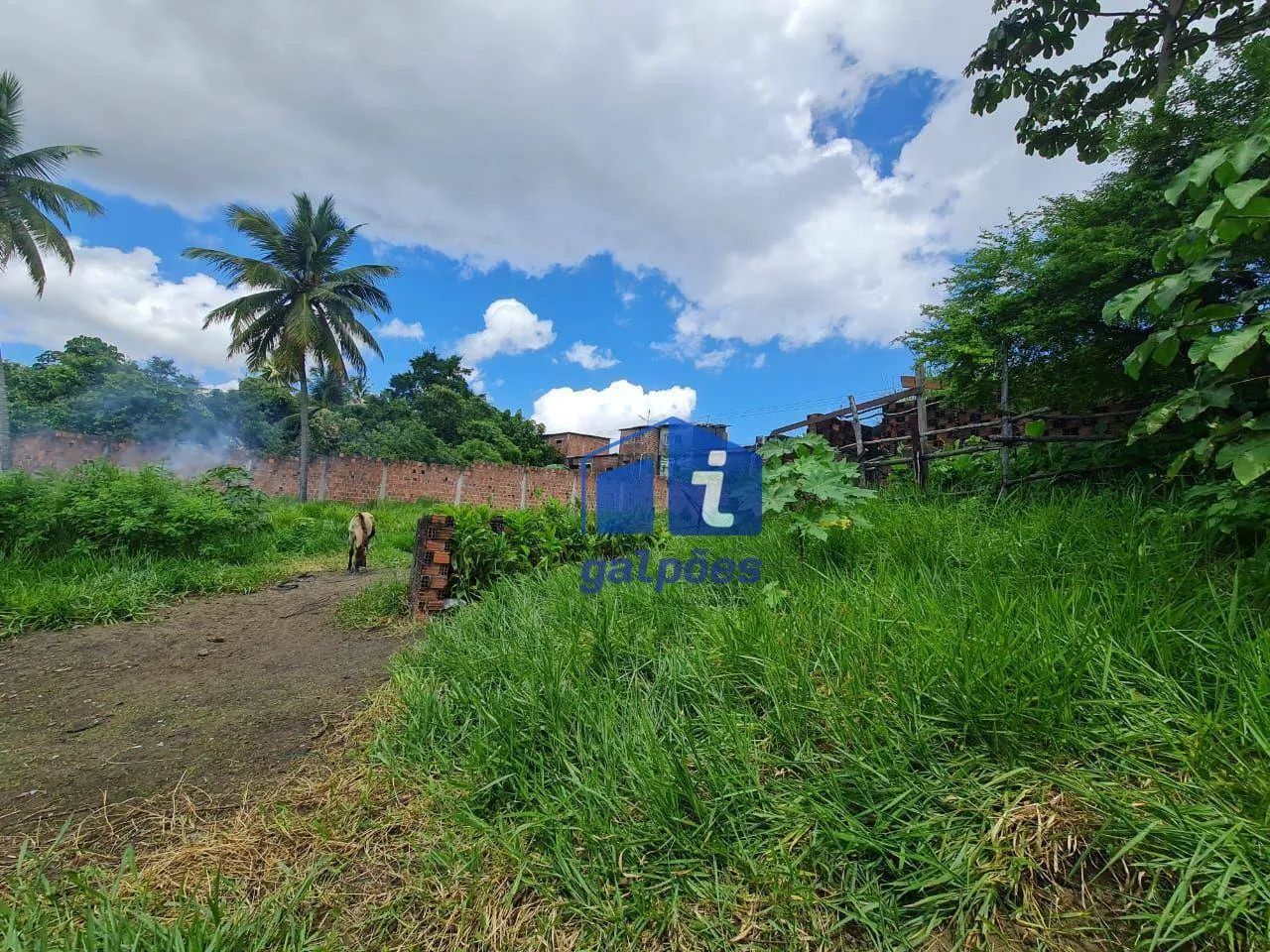 Terreno com 800 m² às margens da BR 101 em Igarassu - PE - Foto 2
