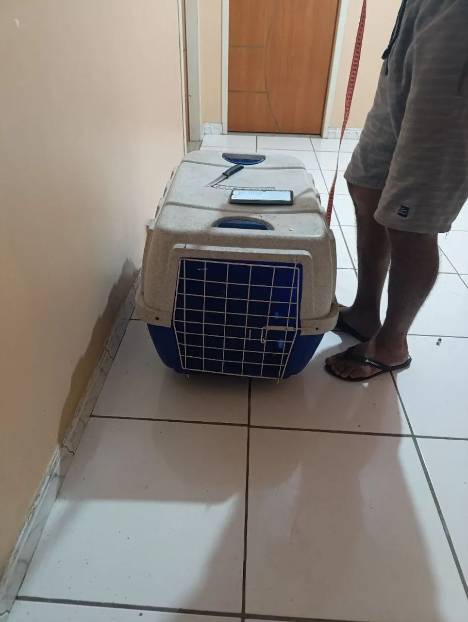 Caixa de transporte pra cão ! Número 4 - Foto 2