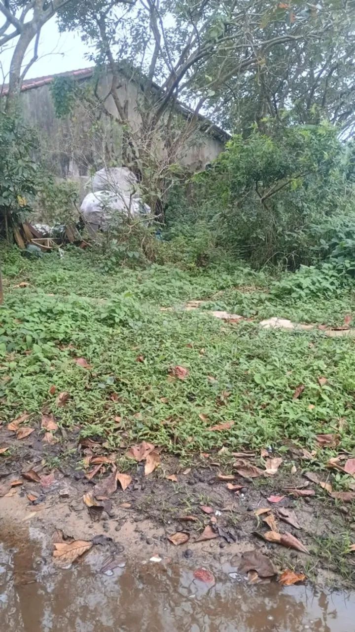 Terreno para Venda em Itanhaém, Cibratel 2 - Foto 3