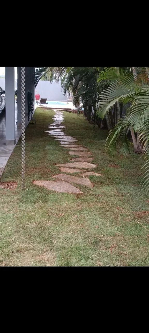 grama esmeralda batatais e sao carlos - Foto 3