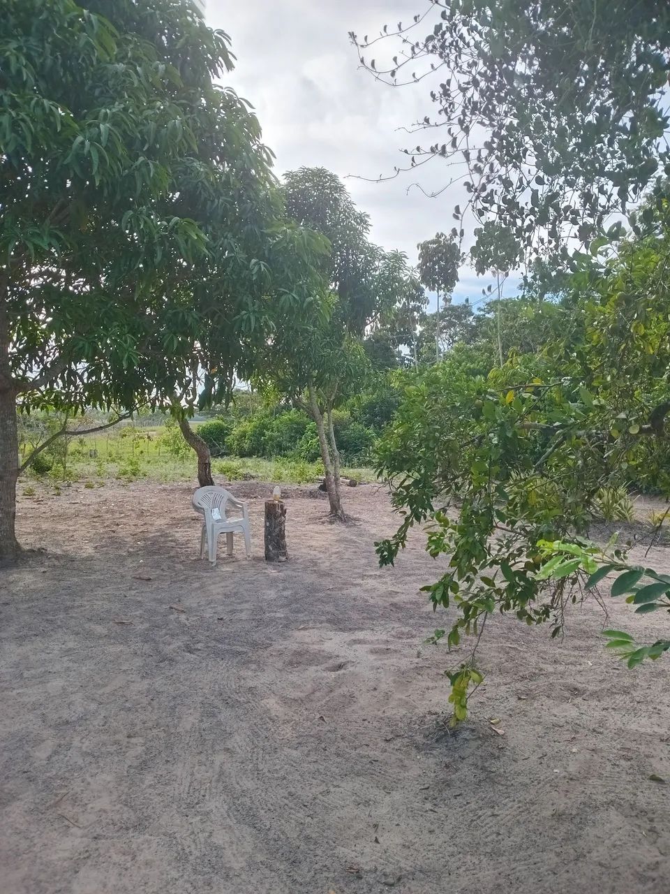 Sítio em Cachoeira - Bahia - Foto 3