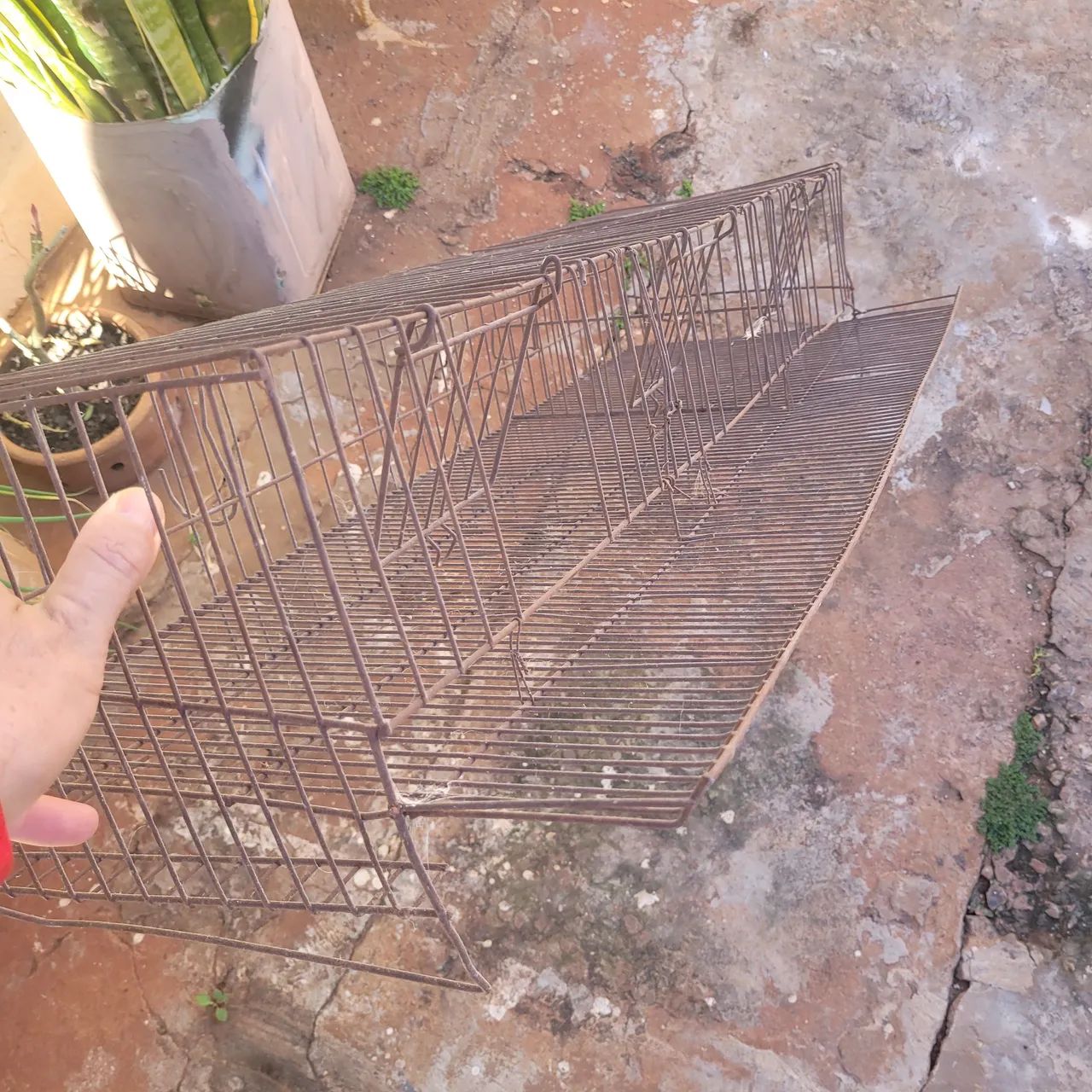 Gaiola pra codorna - Foto 2