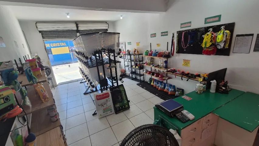 Vendo loja de ração completa - Foto 3