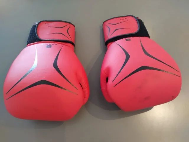 Luva de Luta Domyos 14oz