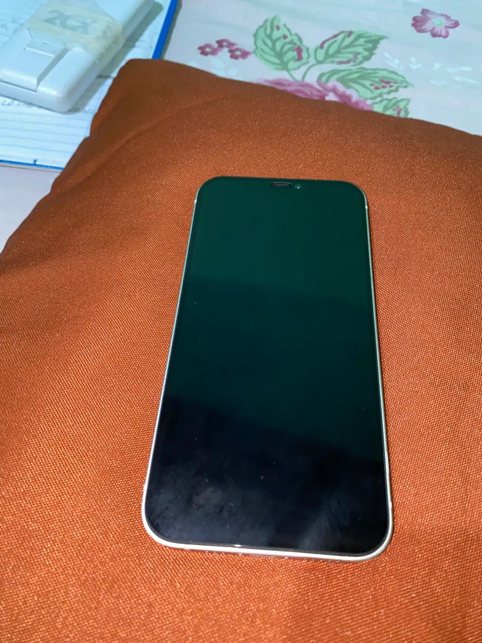 iPhone 12 256 GB