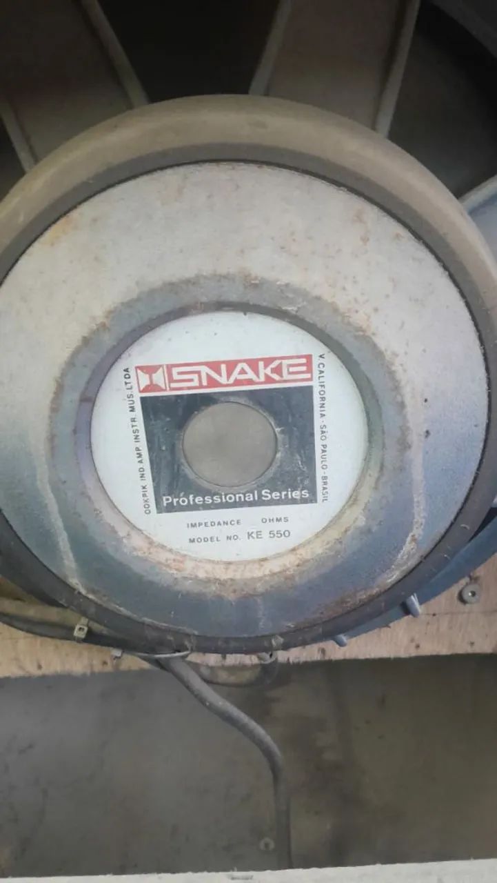 Vendo trio elétrico completo  