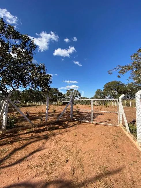 Venda Chácara ÁREA RURAL DE UBERLÂNDIA - Foto 3
