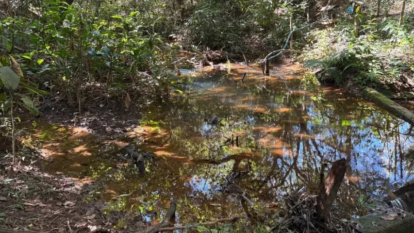 CHÁCARA DE 3.000m² - Foto 4