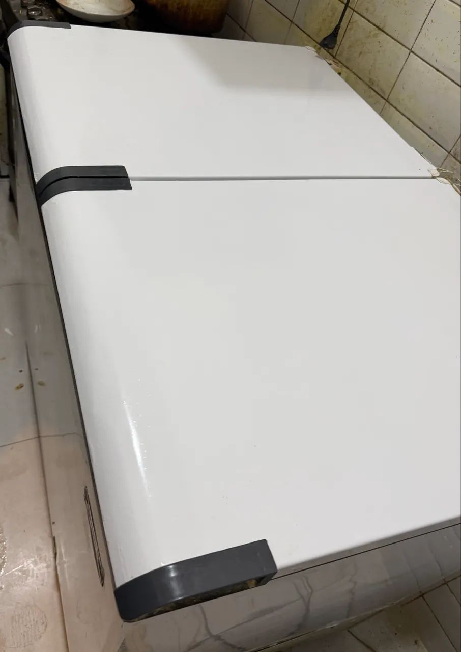 Frazzer horizontal. Conservador horizontal 325L - Foto 4