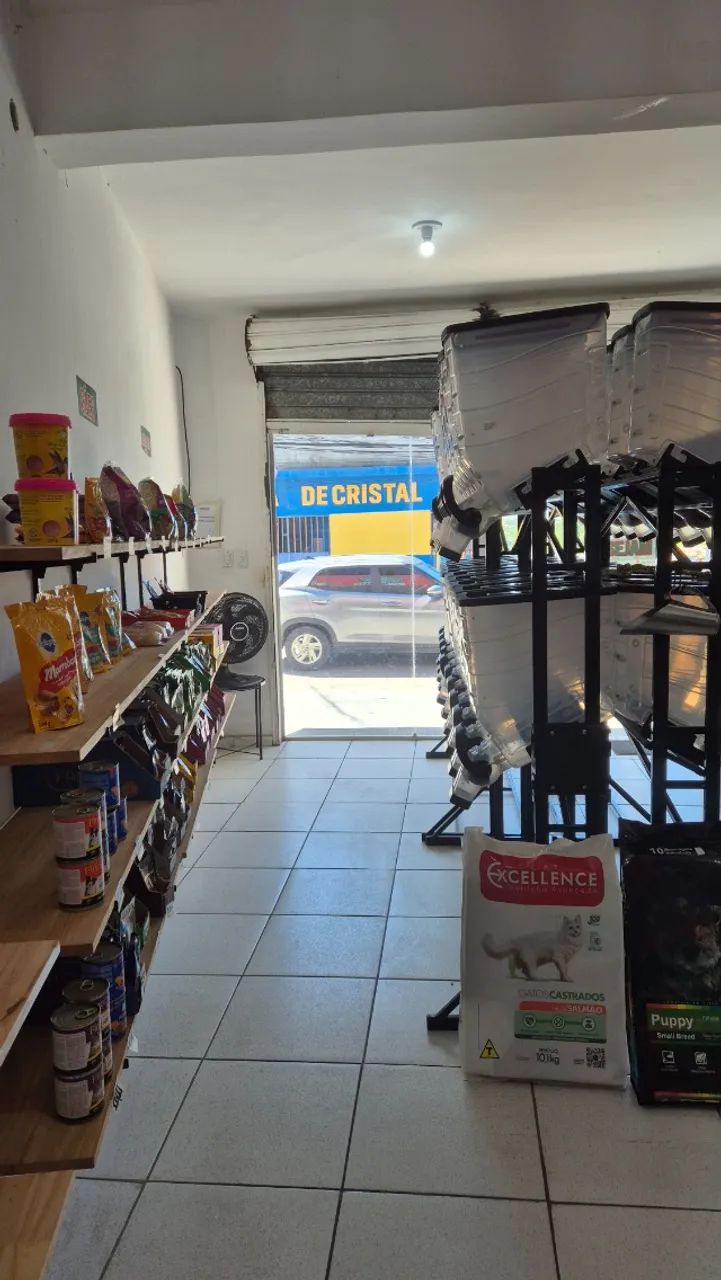 Vendo loja de ração completa - Foto 2