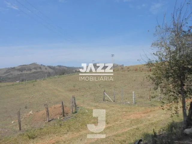 Área à Venda - Jardim Santana, Amparo - 242.000m2 - Foto 3