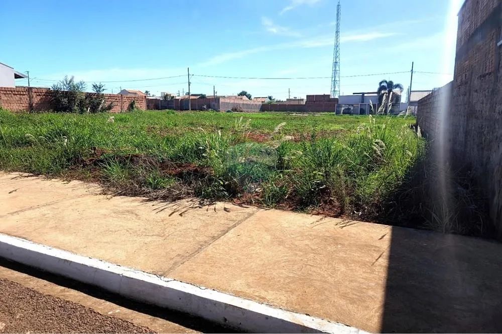 VENDO EXCELENTE TERRENO NO LOTEAMENTO CHICO SIMÃO 13M X 26M - Foto 5