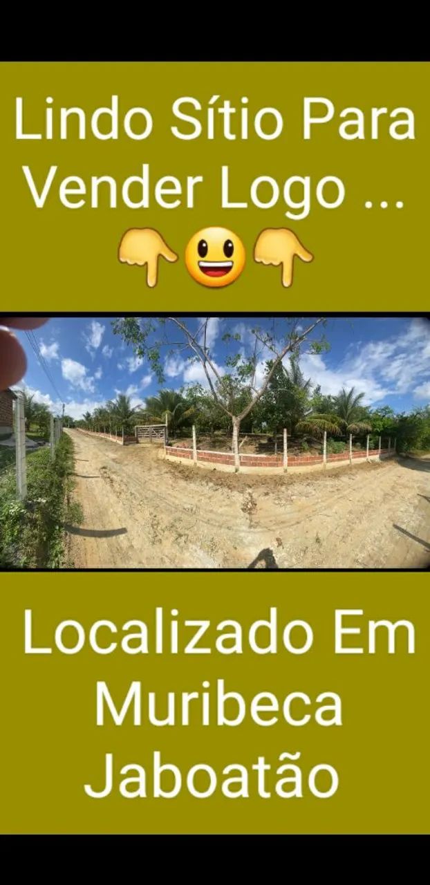 Foto - Jaboatão dos Guararapes - Santo Aleixo