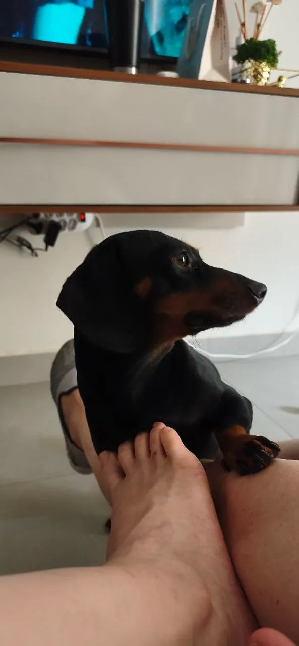 Procuro machinho para minha cofapi - Foto 2