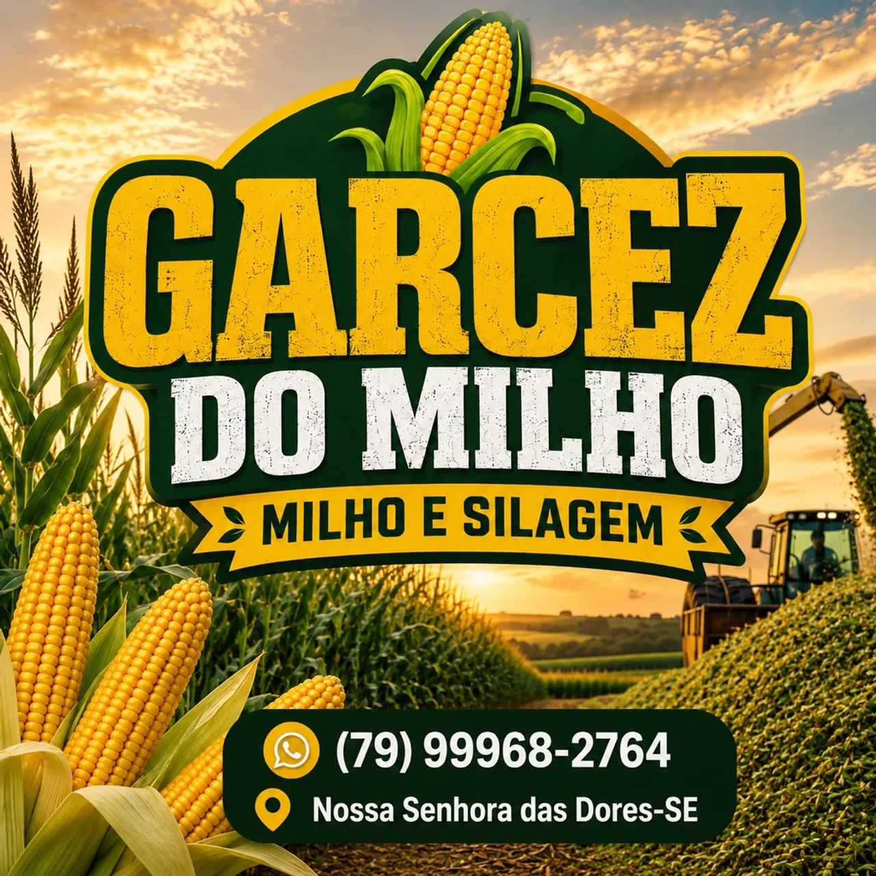 Silagem de milho  - Foto 2