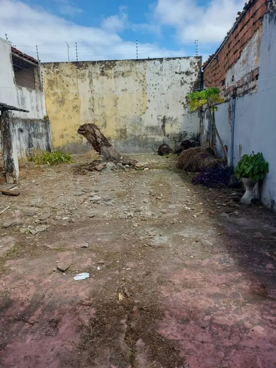 Casa à Venda no Bairro Cirurgia com 4 Quartos e Excelente Localização - Foto 5