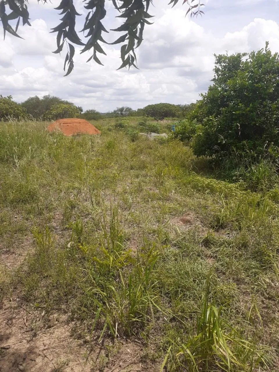 VENDE-SE TERRENO - Foto 5