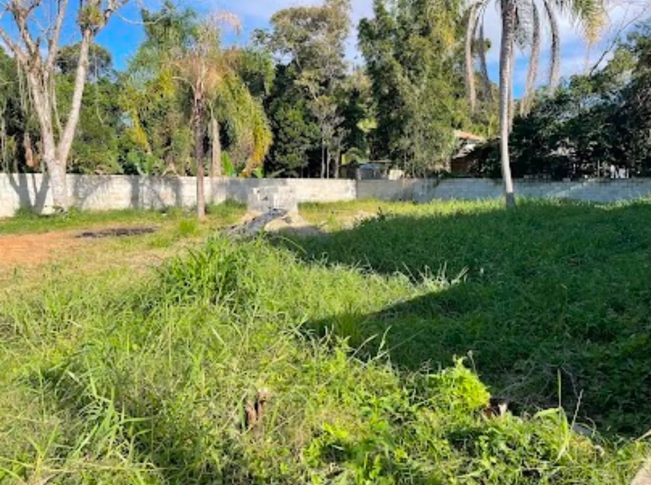 Vendo terreno 200 metros da lagoa  - Foto 3