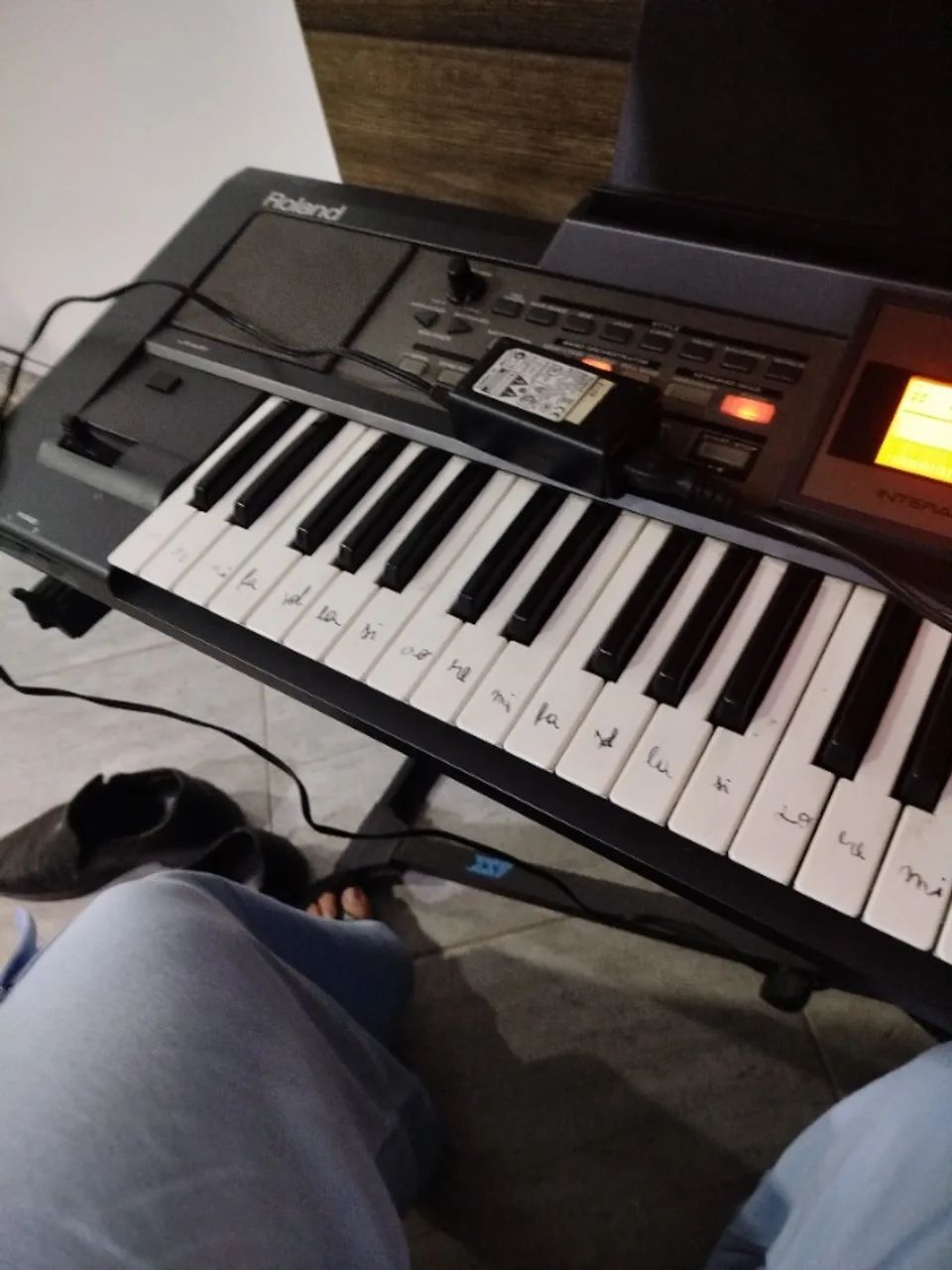Roland E-09  - Foto 2