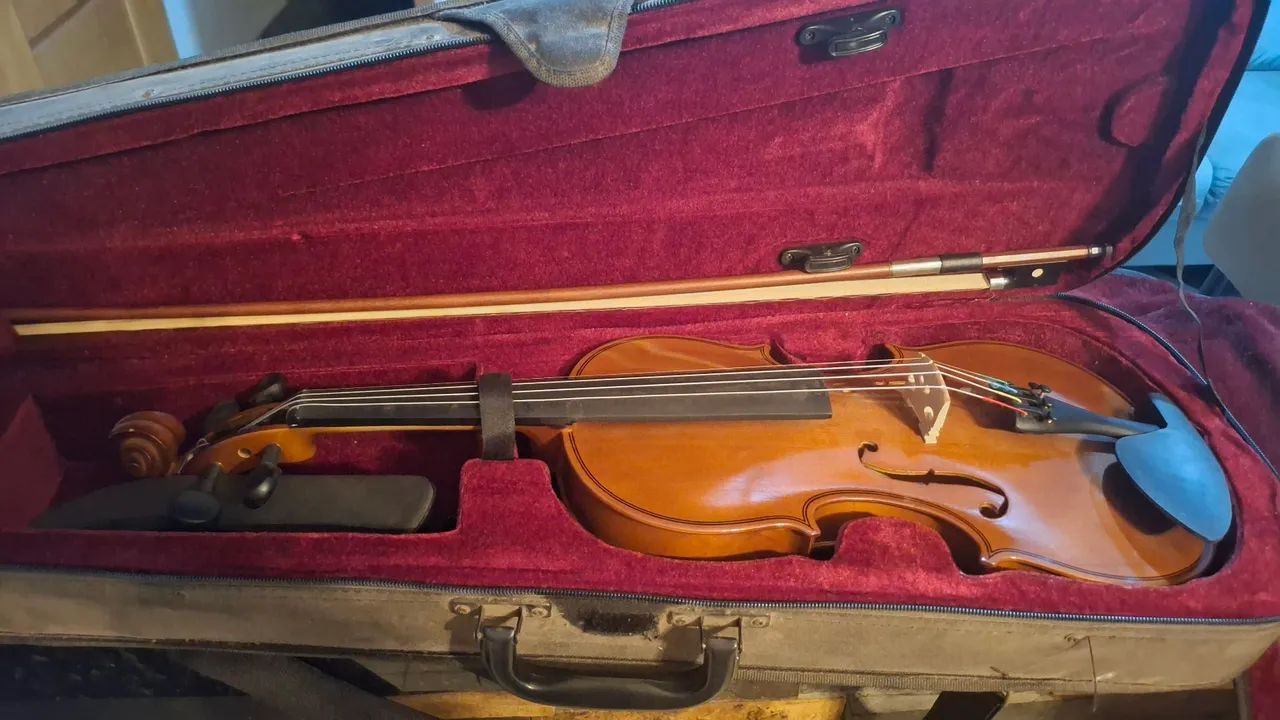 Violino 