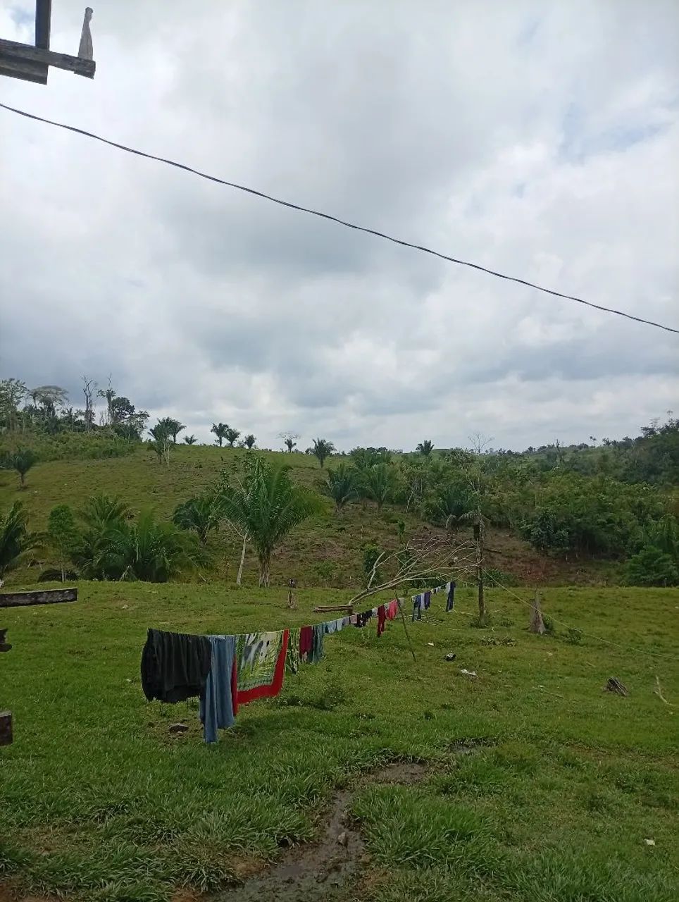 Vendo essa colônia  - Foto 2