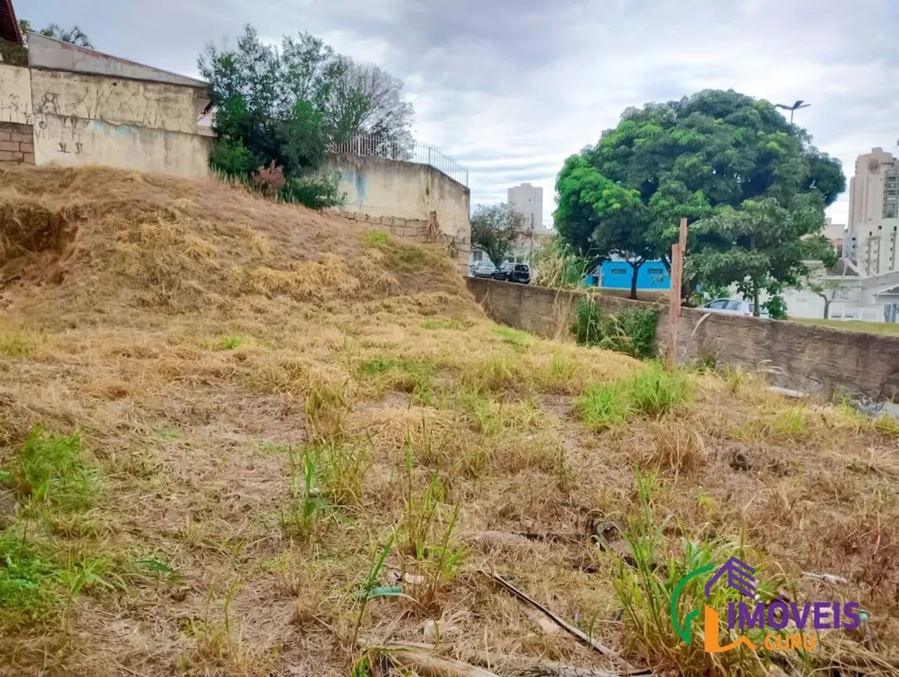 TERRENO - JARDIM VILA ROSA - SP - Foto 3